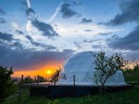 «The Garden» / «Гарден» глэмпинг